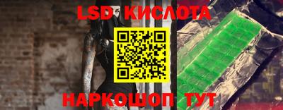 ПСИЛОЦИБИНОВЫЕ ГРИБЫ Кимры
