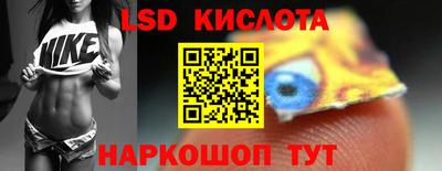 стаф Кингисепп