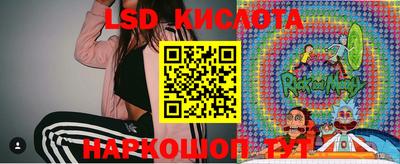 стаф Кингисепп